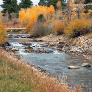 Boxwood Gulch Fly Fishing Ranch