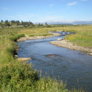 Buffalo Peaks Ranch