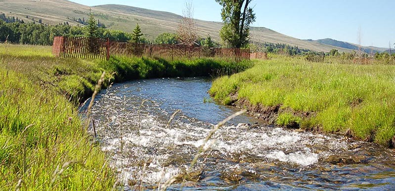 View of Riffle Bend Pool #15