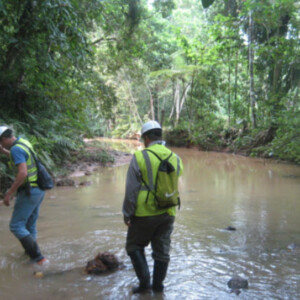 Minera Panama