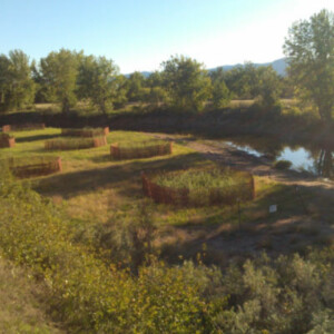 • South Platte River at South Platte Park Phases I - III, Littleton, CO