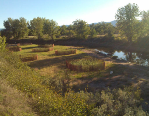 • South Platte River at South Platte Park Phases I - III, Littleton, CO