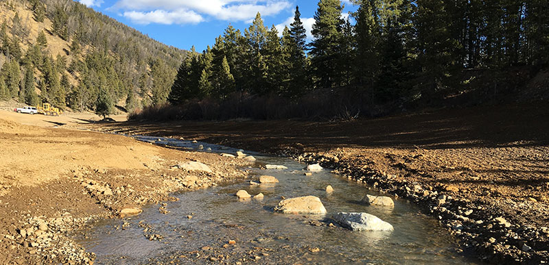 Swan river Stream Improvement