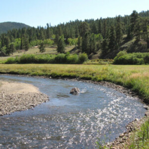 Tarryall Creek