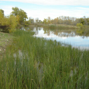 Fort Collins Natural Areas