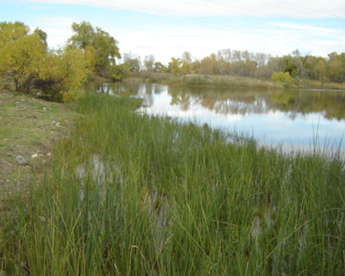 Fort Collins Natural Areas