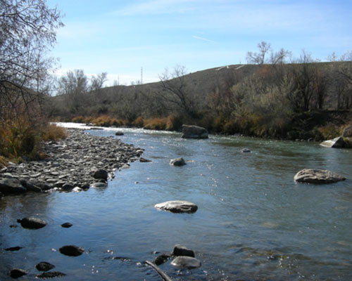 Uncompahgre River Aquatic Habitat